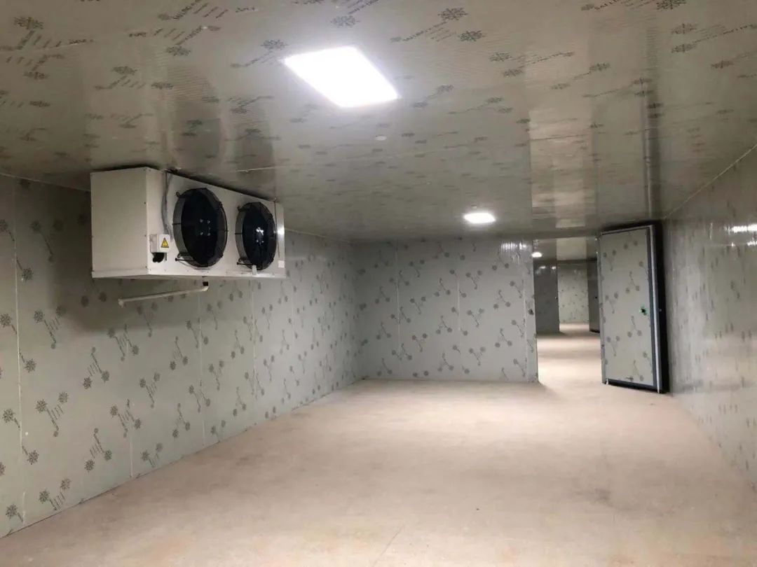 右玉气调保鲜冷库造价